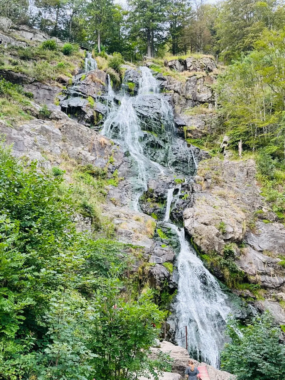 Todtnauer Wasserfall Thomas Appartement